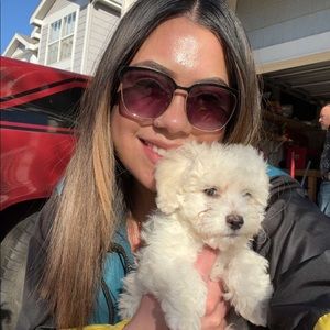 Meet your Posher, Iris